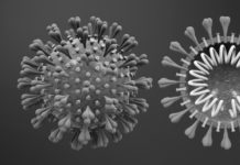 A coronavirus fix that passes the smell test (Bloomberg)
