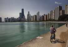 Navigating Your Life During Coronavirus (WSJ)