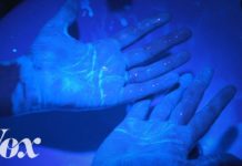How 20 seconds of soap kills the coronavirus (Vox)