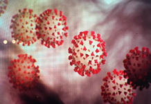 Colonialism made Puerto Rico vulnerable to coronavirus catastrophe (The Nation)