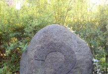 Global coronavirus death toll could be 60% higher than reported (Financial Times)