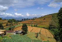 Hot spots erupt in farm belt states where governors insist lockdowns aren’t needed (Politico)