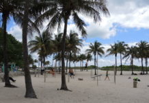 Coronavirus: Beaches reopening ‘not a sunbathing opportunity’ (Florida Times-Union)