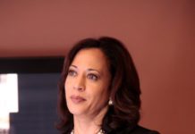 Kamala Harris’ plan to save the election (Rolling Stone)