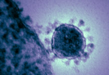 The interminable body count (The Atlantic)