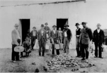 The Black Plague (New Yorker)