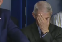 Fauci warns states against ‘leapfrogging’ guidelines on reopening (The Hill) Fauci faceplant screenshot