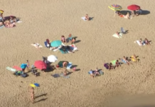 Social distancing will last months, Birx says, as states ease limits (NYT)