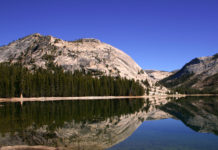 Coyotes, bobcats and bears: Wildlife is reclaiming Yosemite National Park (LA Times)