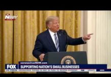 Pres. Trump without task force (4/28/20)