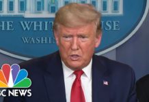 White House task force briefing (4/24/20)