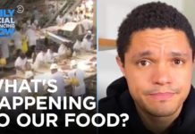 Trevor Noah: Coronavirus ravages the food supply chain (4/29/20)