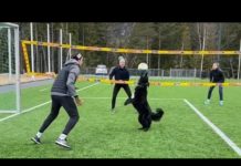 Kiara the Volley Dog and Mathias playing 2 vs. 2 Volleyball! (04/04/20)