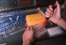 Alarm bells ring over controversial COVID testing (The Hill)